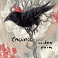 Garden Ruin - Vinyl LP