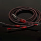 AudioQuest Brave Heart Silver Male Banana to Male Banana Full-Range ZERO-Tech Speaker Cable - Pair (10 ft.)