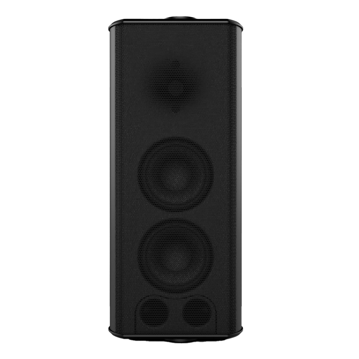 Theory Audio Design sb25aw High-Output All-Weather Loudspeaker (Black)