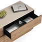 BDI Luma 6720 Multifunction Cabinet (Walnut/Dune)