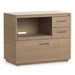 BDI Sequel Studio 6617 Multifunction Cabinet (Neo Oak, Bronze)