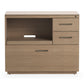 BDI Sequel Studio 6617 Multifunction Cabinet (Neo Oak, Bronze)