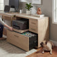 BDI Sequel Studio 6617 Multifunction Cabinet (Neo Oak, Bronze)