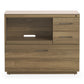 BDI Sequel Studio 6617 Multifunction Cabinet (Neo Walnut, Bronze)