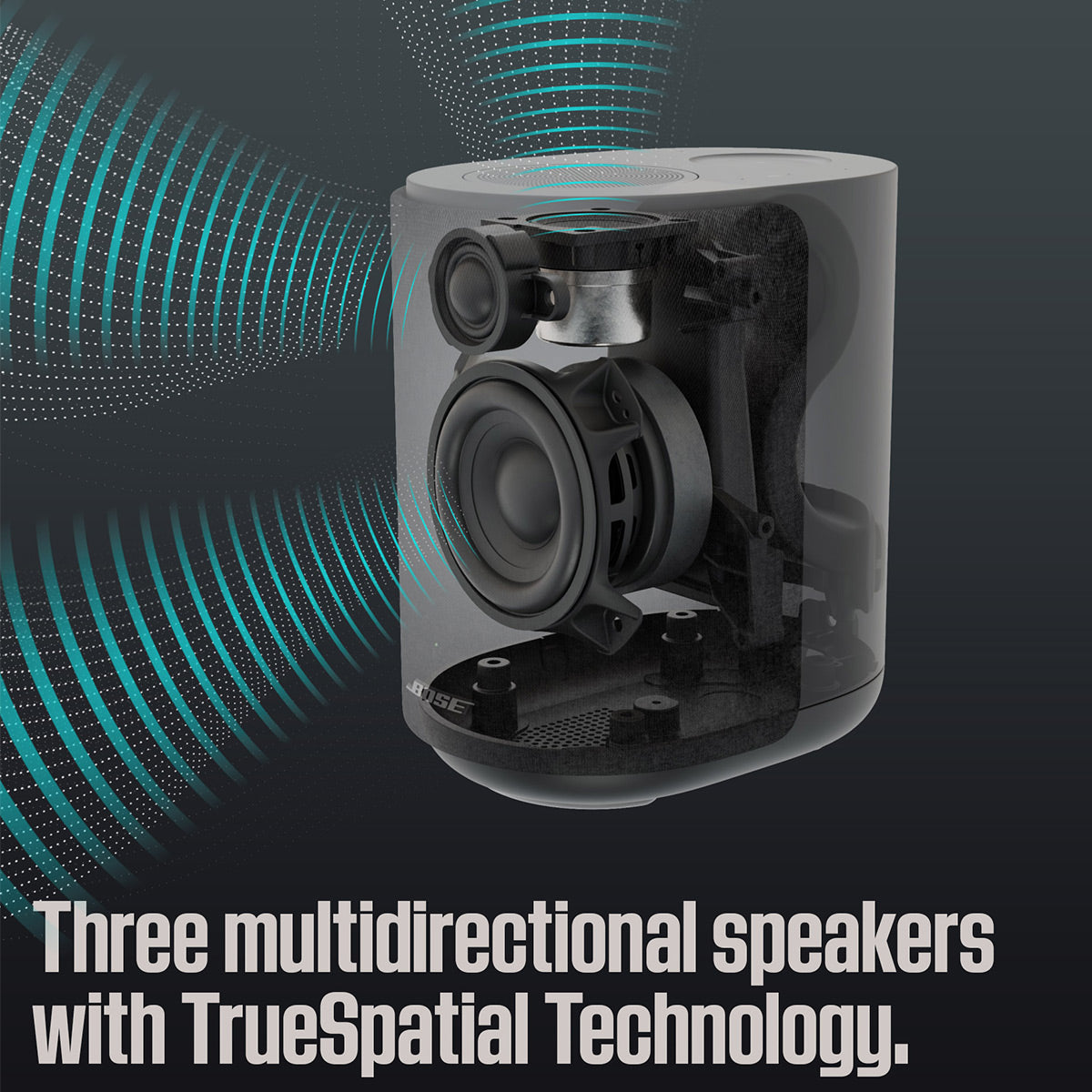 Bose Lifestyle Ultra Speaker - Each (Black)