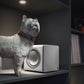 Cambridge Audio Minx X201 200W Subwoofer (Gloss White)