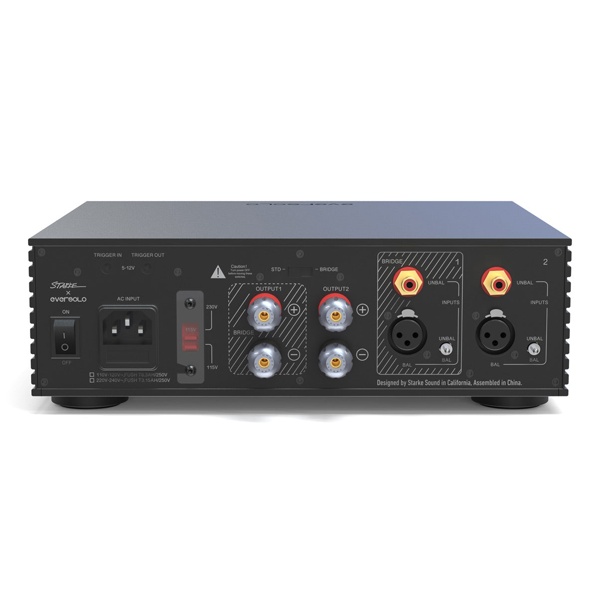 Eversolo AMP-F2 2 Channel Class D Amplifier