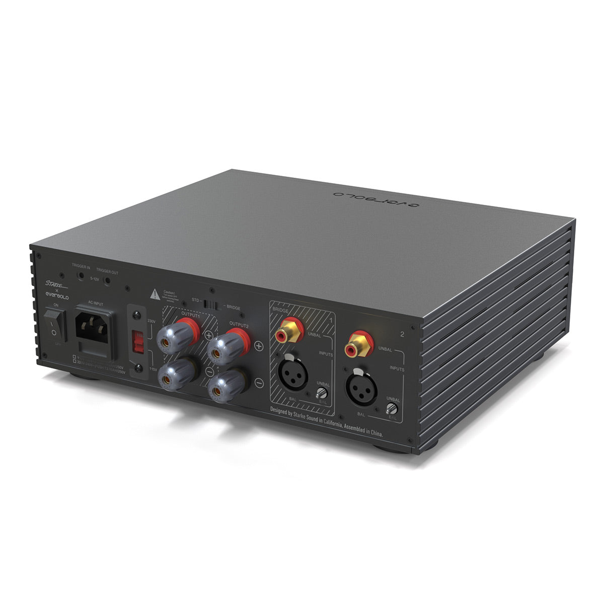 Eversolo AMP-F2 2 Channel Class D Amplifier