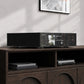 Eversolo T10 Reference Streaming Transport