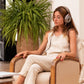 Focal Clear MG Open-Back High-Fidelity Over-Ear Headphones