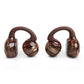 JBL Soundgear Clips True Wireless Open-Ear Headphones Bundle with gSport Case (Copper)