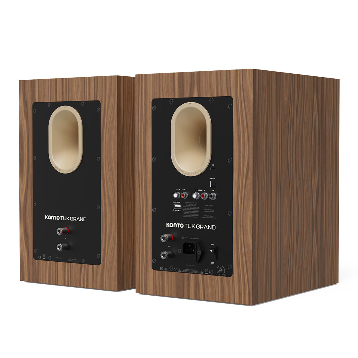 Pair of matte walnut bookshelf speakers with rear-facing ports and multiple input connections
