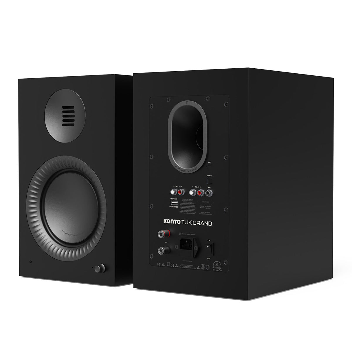 Matte black bookshelf speaker with a front-facing woofer and rear panel featuring RCA inputs and a p