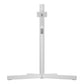 Loewe Motorized Floor Stand for 42 - 55" stellar dr+ TVs