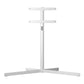 Loewe Motorized Floor Stand for 77 - 83" stellar dr+ TVs