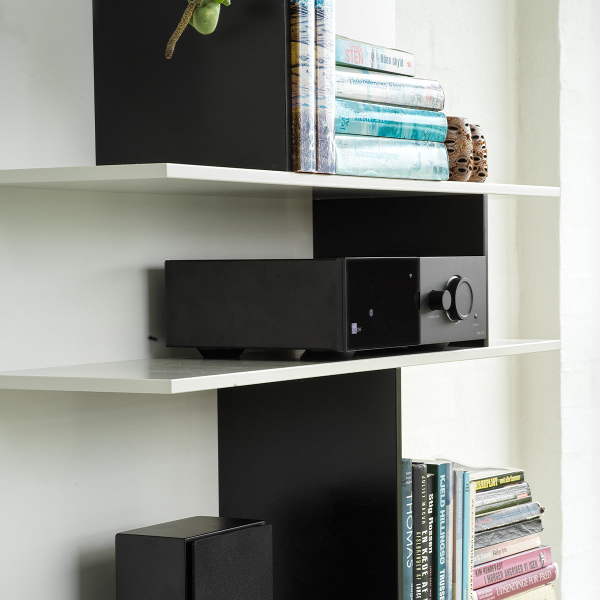 Lyngdorf Audio TDAI-1120 Streaming Digital Amplifier