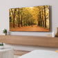 Sanus VXL7-B2 XL Premium Fixed Position TV Wall Mount for 65" - 140" TVs