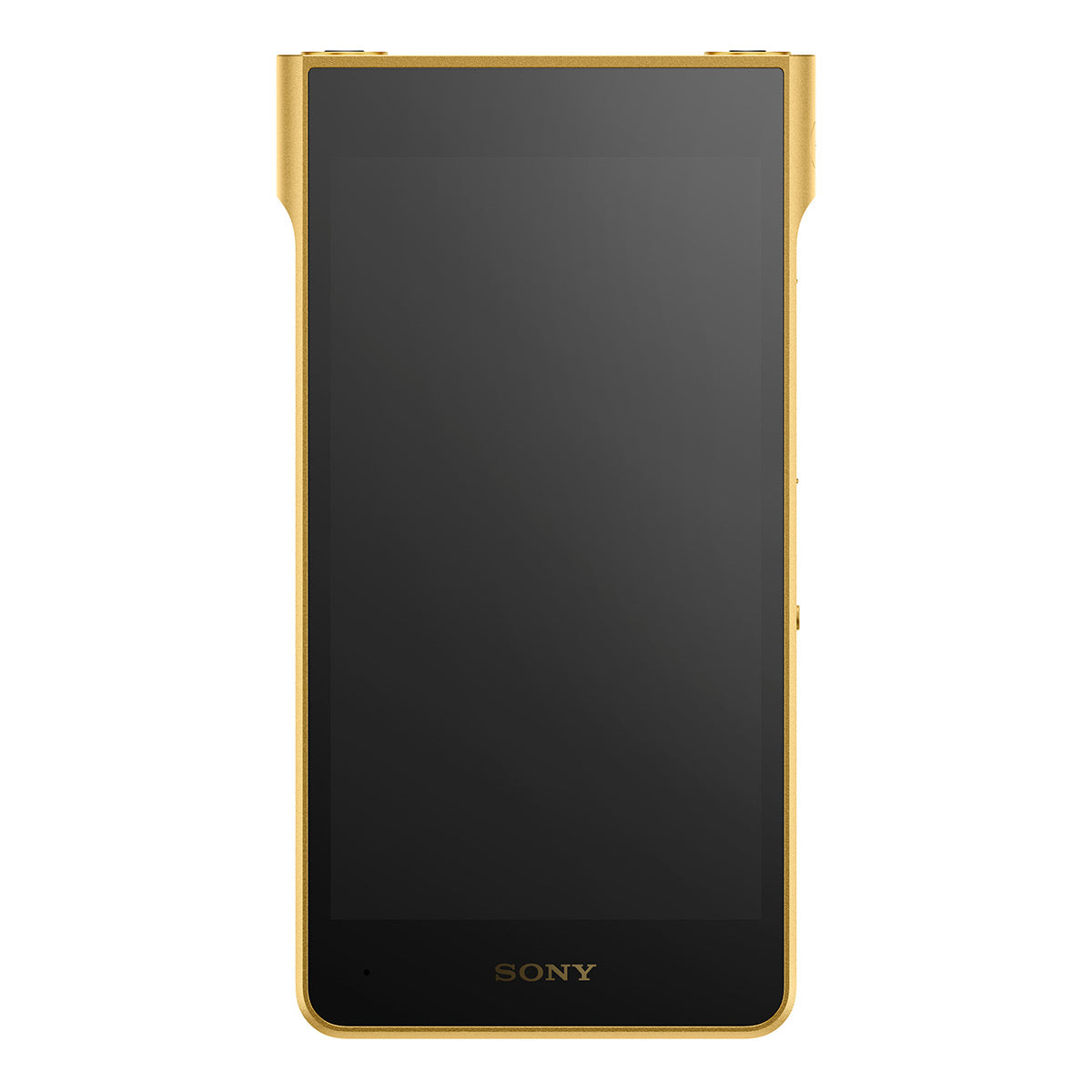 Sony NW-WM1ZM3 Walkman Digital Media Player