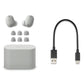 Sony WF-1000XM6 Truly Wireless Noise Cancelling Earbuds (Silver)