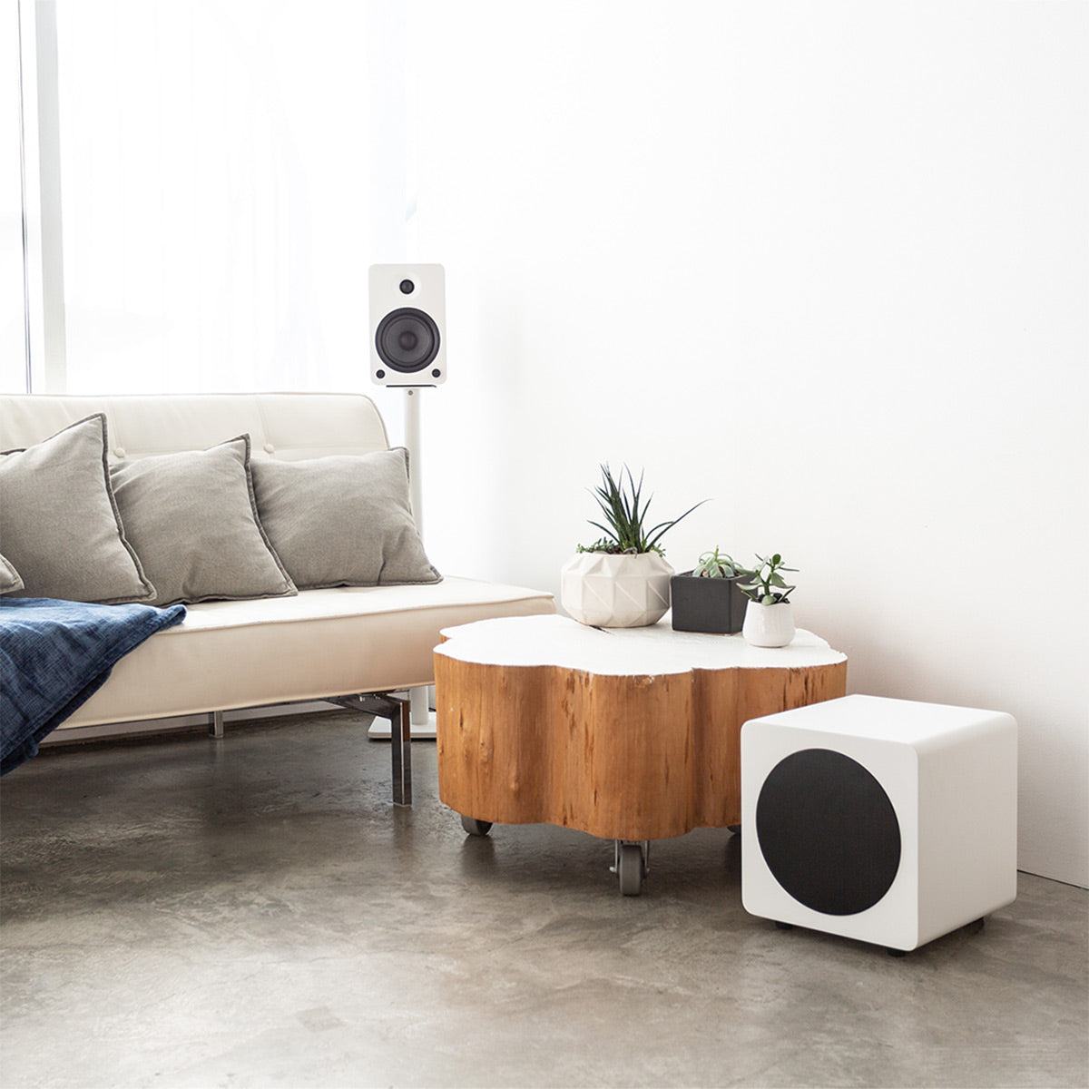 Kanto SUB8 8" Powered Subwoofer Bundle with AudioQuest Jack Russell Subwoofer Cable - 4m (White)