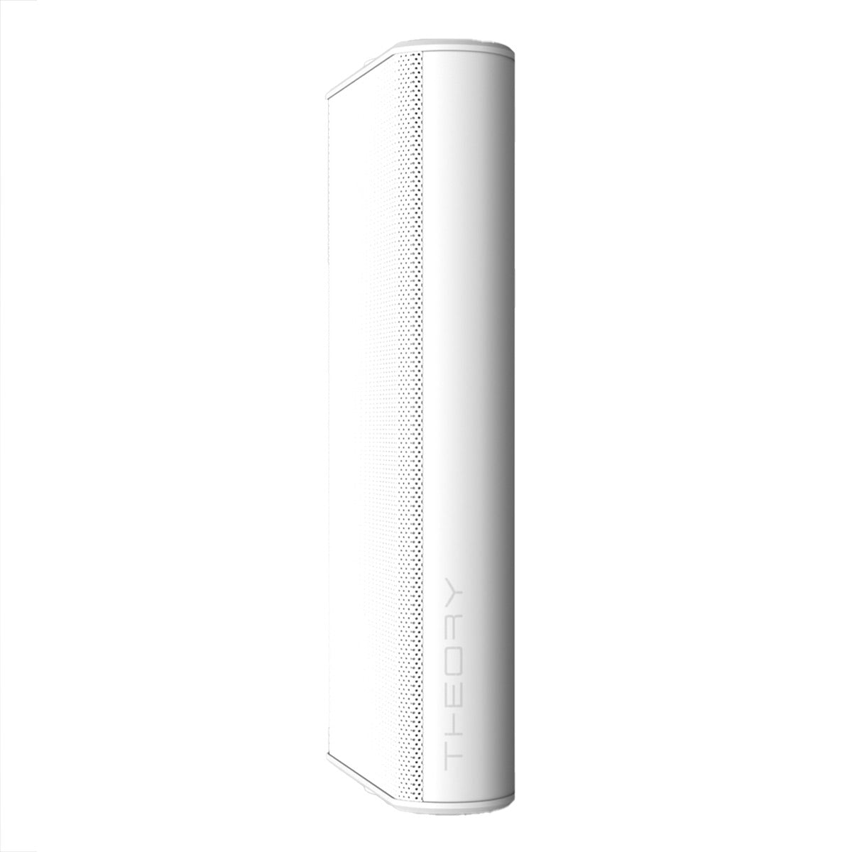 Theory Audio Design sb25aw High-Output All-Weather Loudspeaker (White)