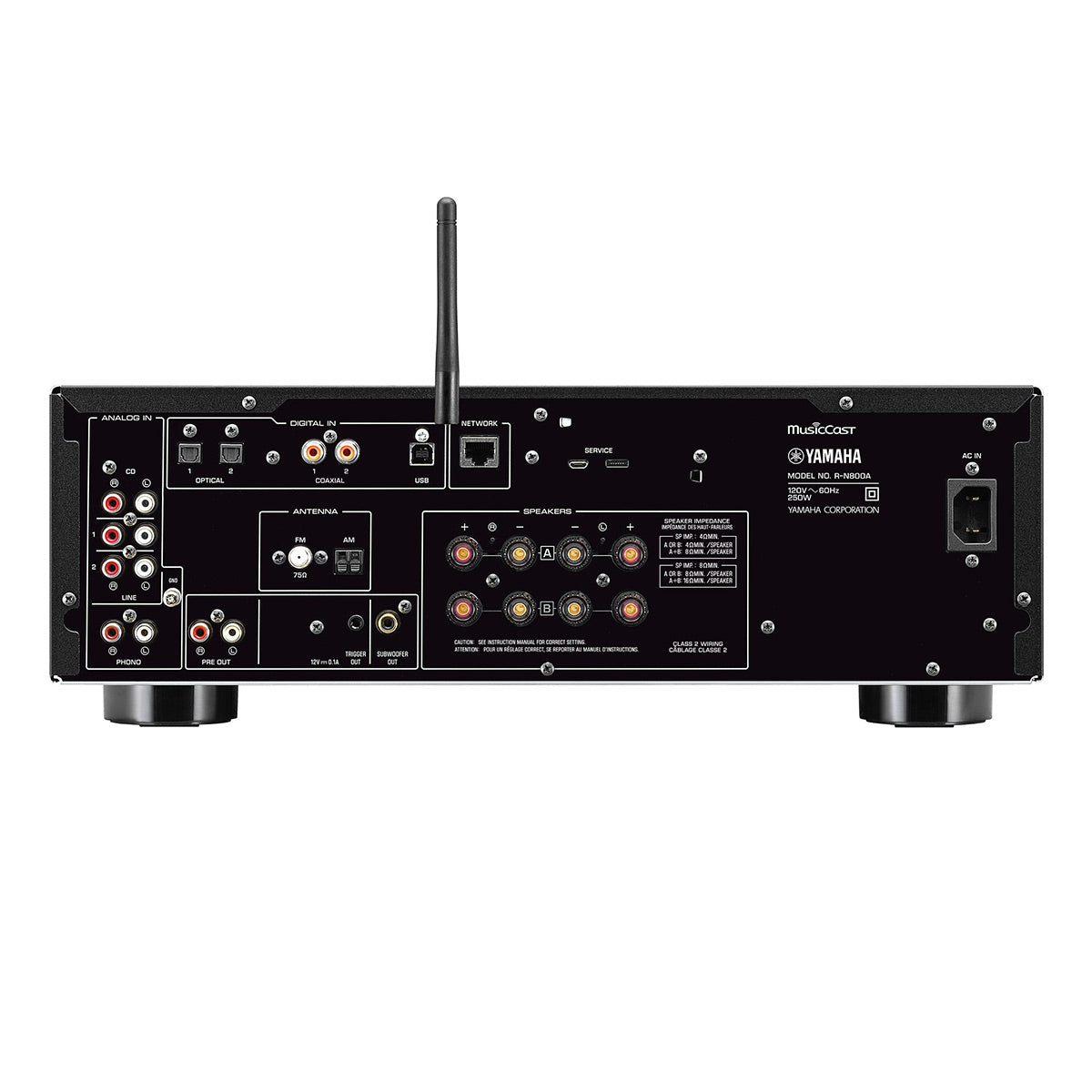 Yamaha R-N800A Network Receiver Bundle with AudioQuest Jack Russell (Silver)