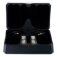iFi Audio GO Pod Max Wearable Lossless Bluetooth DAC