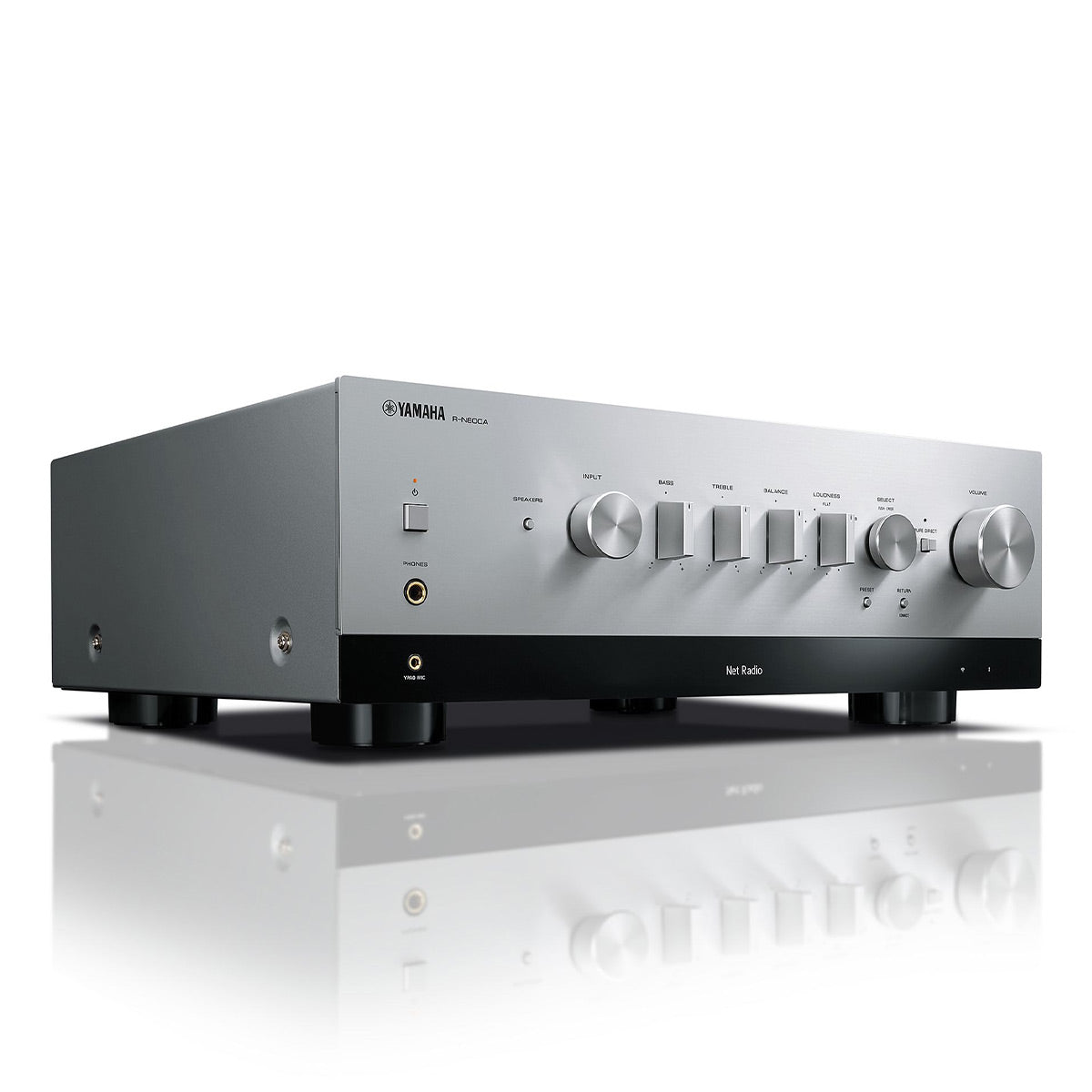 Yamaha R-N800A Network Receiver Bundle with AudioQuest Jack Russell (Silver)